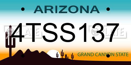 4TSS137 Arizona License Plate