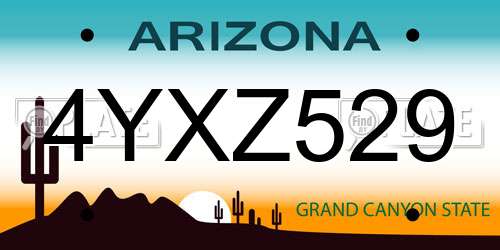 4YXZ529 Arizona License Plate
