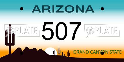 507 Arizona License Plate