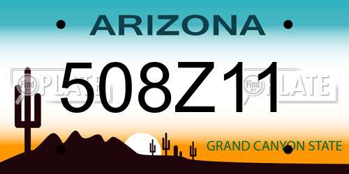 508Z11 Arizona License Plate