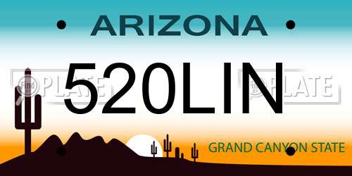 520LIN Arizona License Plate