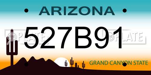 527B91 Arizona License Plate