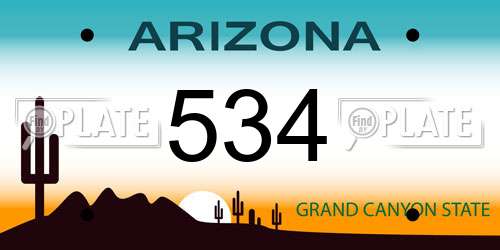 534 Arizona License Plate