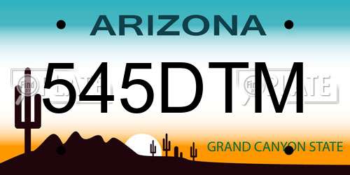 545DTM Arizona License Plate