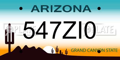547ZI0 Arizona License Plate