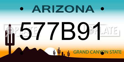 577B91 Arizona License Plate
