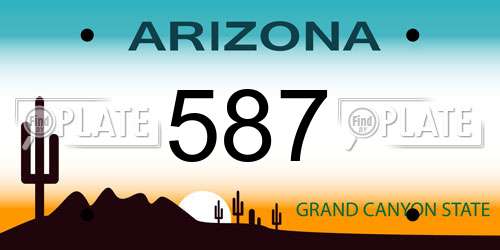 587 Arizona License Plate