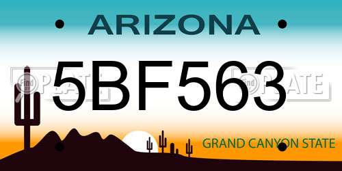 5BF563 Arizona License Plate