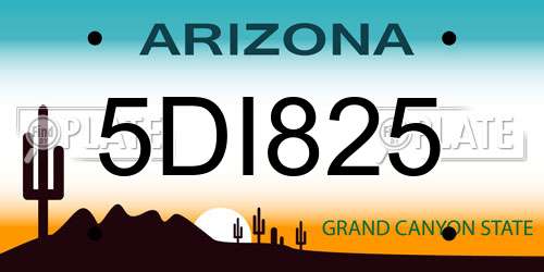 5DI825 Arizona License Plate