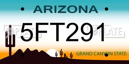 5FT291 Arizona License Plate