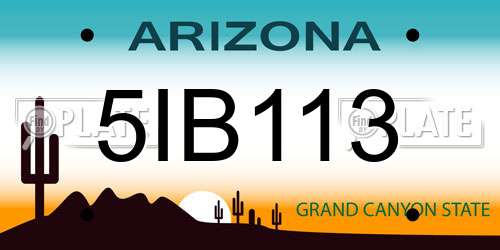 5IB113 Arizona License Plate