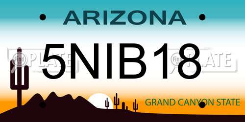 5NIB18 Arizona License Plate
