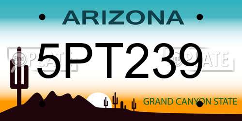 5PT239 Arizona License Plate