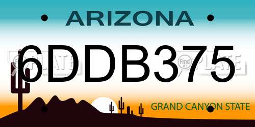 6DDB375 Arizona License Plate