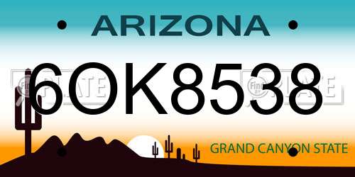 6OK8538 Arizona License Plate
