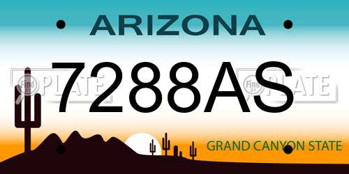 7288AS Arizona License Plate