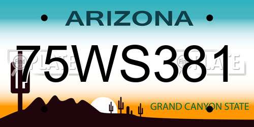 75WS381 Arizona License Plate