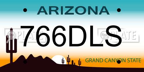 766DLS Arizona License Plate