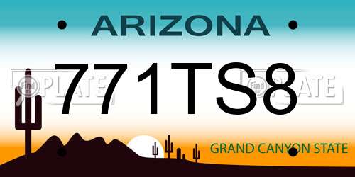 771TS8 Arizona License Plate