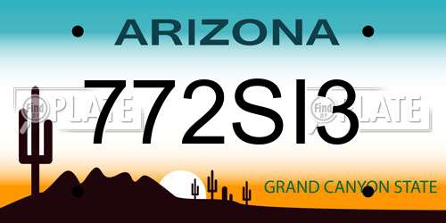 772SI3 Arizona License Plate