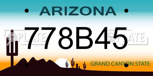 778B45 Arizona License Plate