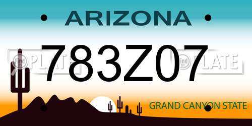 783Z07 Arizona License Plate