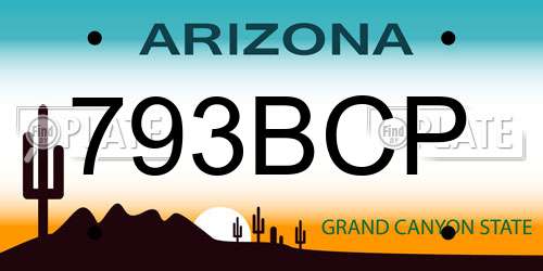 793BCP Arizona License Plate