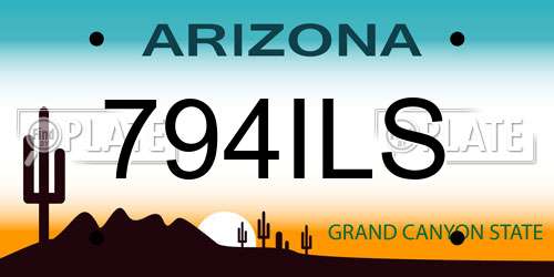 794ILS Arizona License Plate