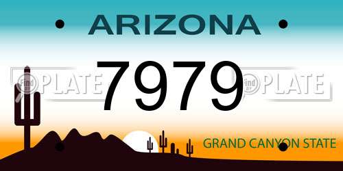7979 Arizona License Plate