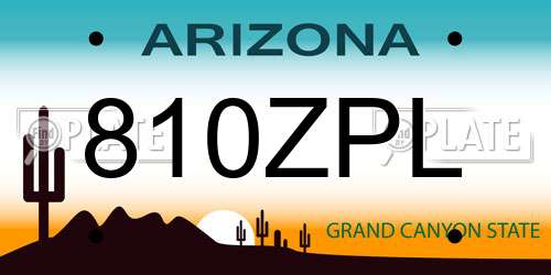 810ZPL Arizona License Plate