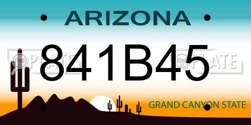 841B45 Arizona License Plate