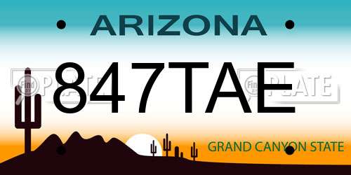 847TAE Arizona License Plate
