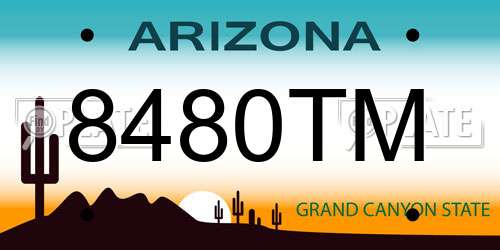 8480TM Arizona License Plate