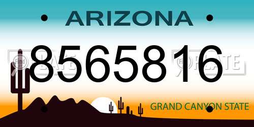 8565816 Arizona License Plate