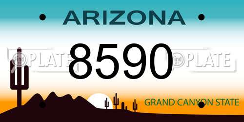 8590 Arizona License Plate