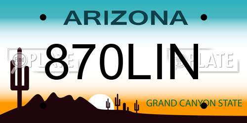 870LIN Arizona License Plate