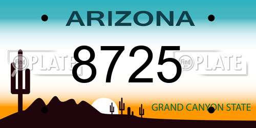 8725 Arizona License Plate