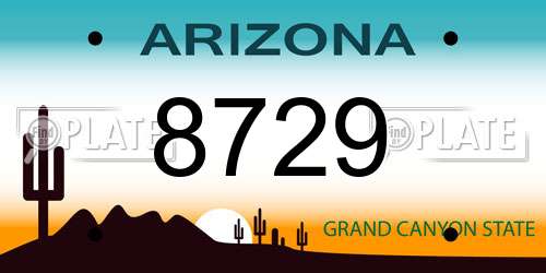 8729 Arizona License Plate