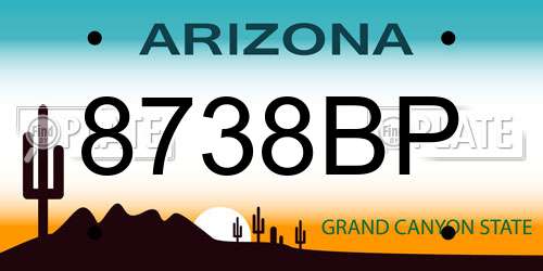 8738BP Arizona License Plate