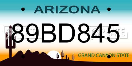 89BD845 Arizona License Plate