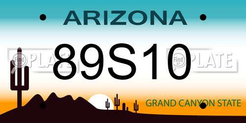 89S10 Arizona License Plate