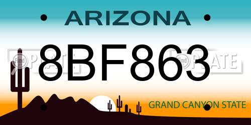 8BF863 Arizona License Plate