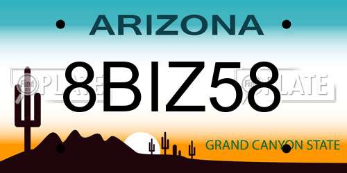 8BIZ58 Arizona License Plate