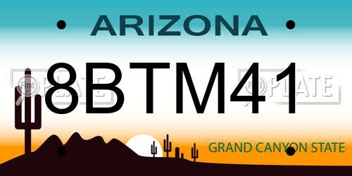 8BTM41 Arizona License Plate