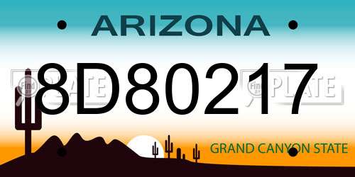 8D80217 Arizona License Plate
