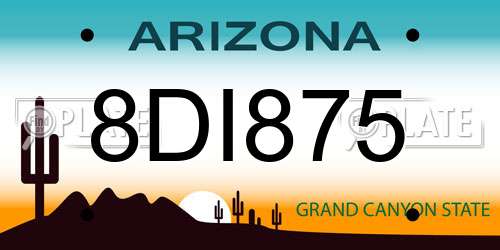 8DI875 Arizona License Plate