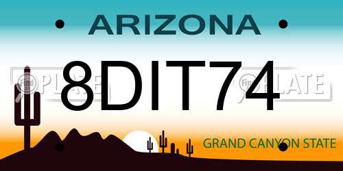 8DIT74 Arizona License Plate