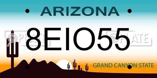 8EIO55 Arizona License Plate