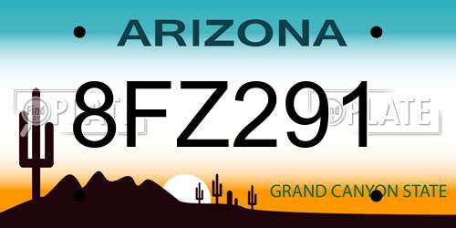 8FZ291 Arizona License Plate