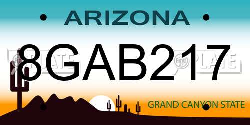 8GAB217 Arizona License Plate